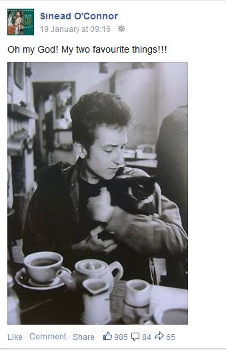 Bob Dylan and cat